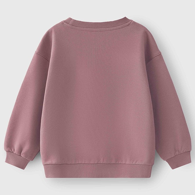 Трикотажный свитшот Leokid Ozzie (Plum pink)